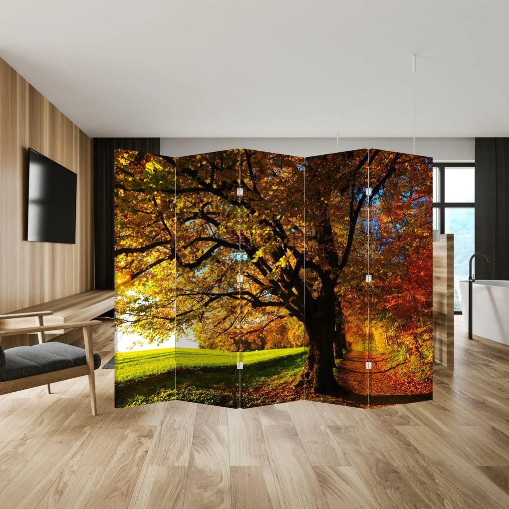 Paraván -  őszi fa (210x170 cm)
