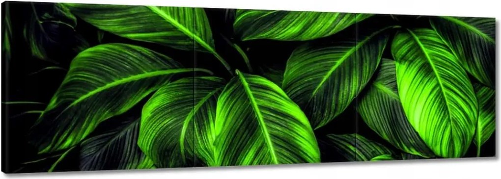 Vászonkép 120x40 Zöld levelek