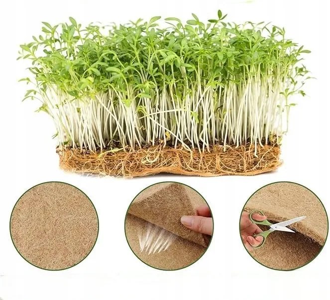 Kókusz Kerti Szőnyeg Hidroponikus Fű Csíráztatásához 50x50cm 500g/m2