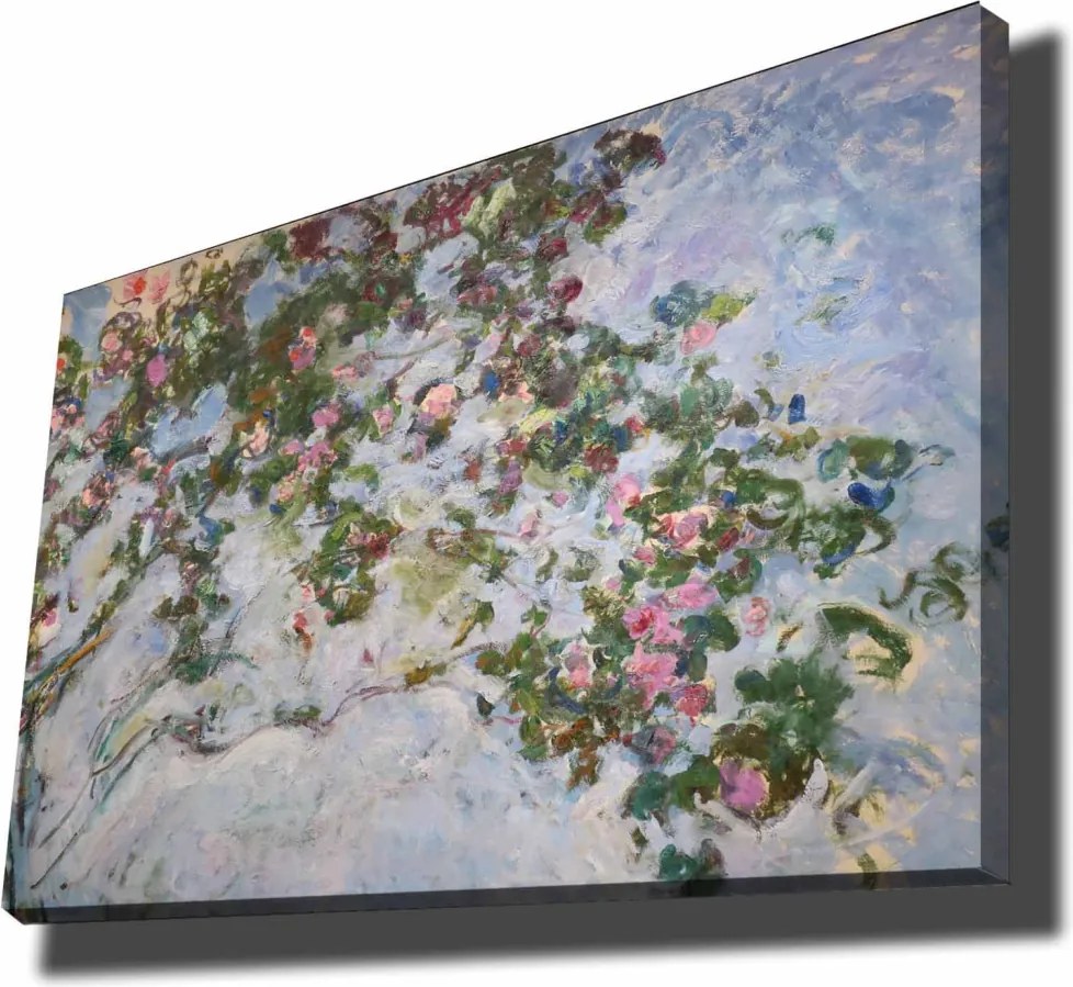 70100MONET003 Monet vászonkép, 70 x 100 cm