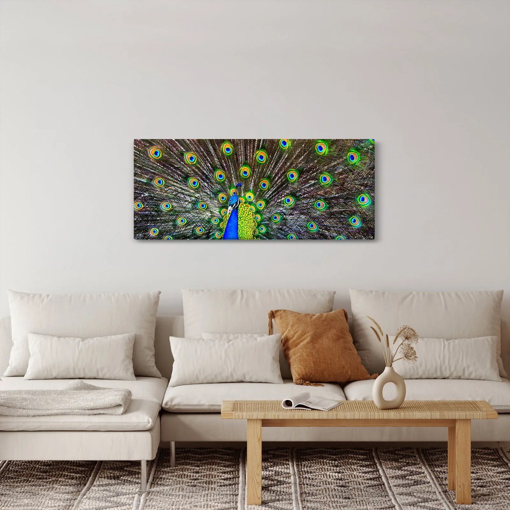 Kép - Páva (120x50 cm)