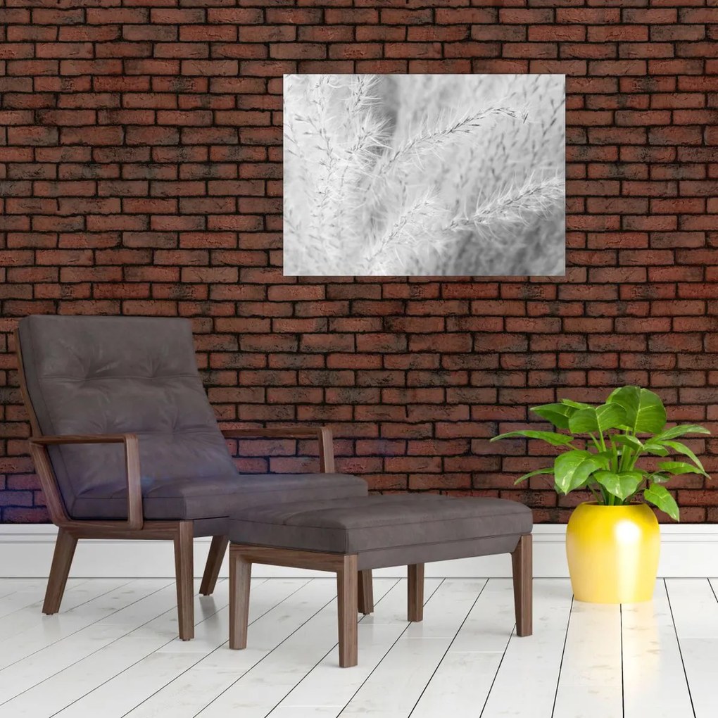 Üveg kép - Pampafű N⁰1 (70x50 cm)
