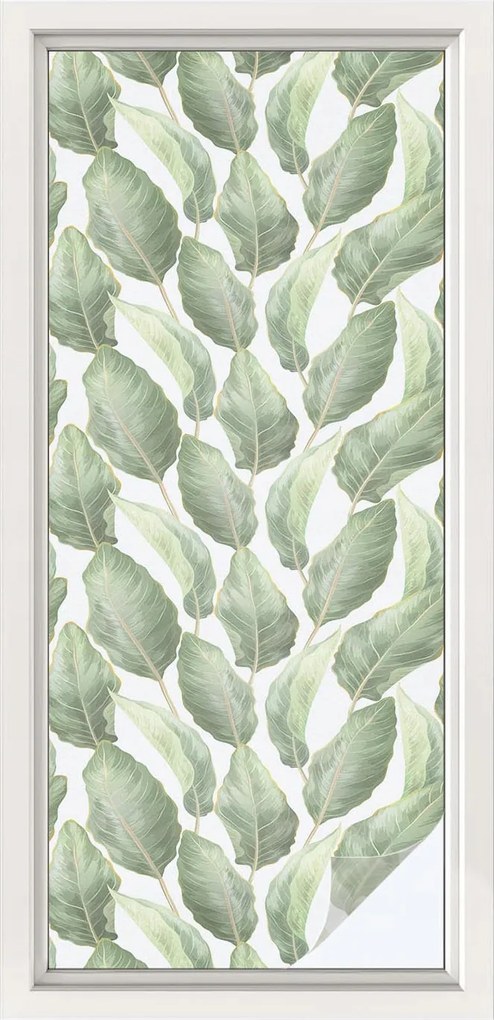 Tejfólia Ablaküveghez Öntapadós Adatvédelem Zöld levelek 50x116