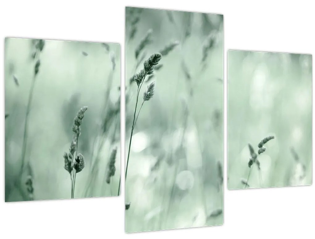 Kép - Zöld rét (90x60 cm)