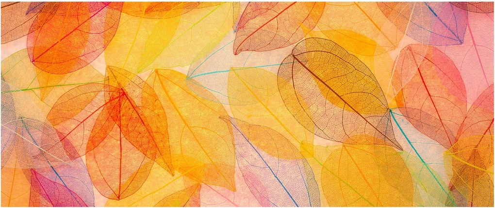 Kép - Háttér az őszi levelekből (120x50 cm)
