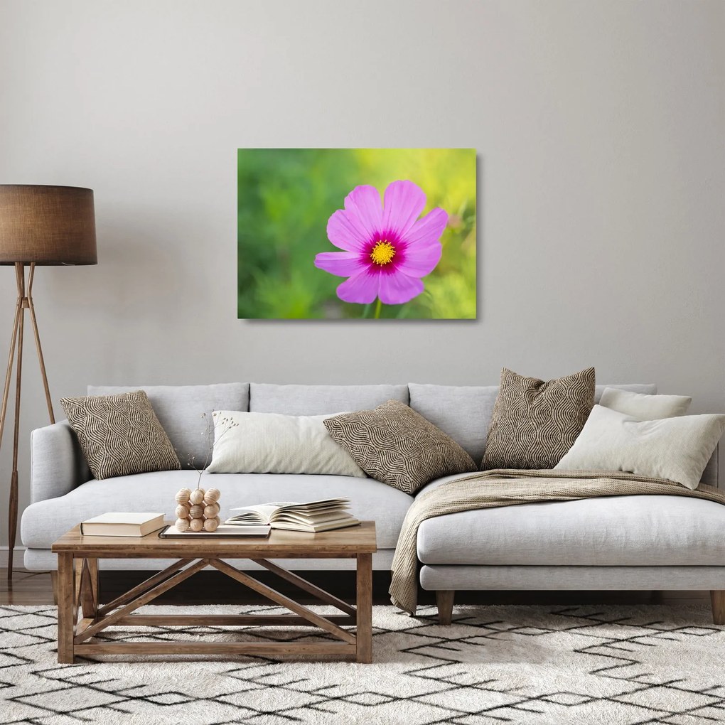 Kép - réti virág (üvegen) (70x50 cm)