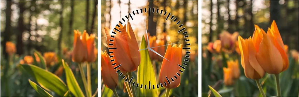 Narancssárga tulipán képe (órával) (90x30 cm)