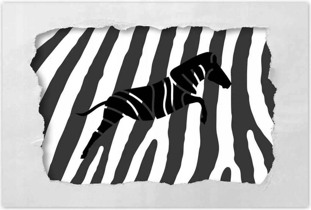 Poszterek 60x40 Zebra csíkos