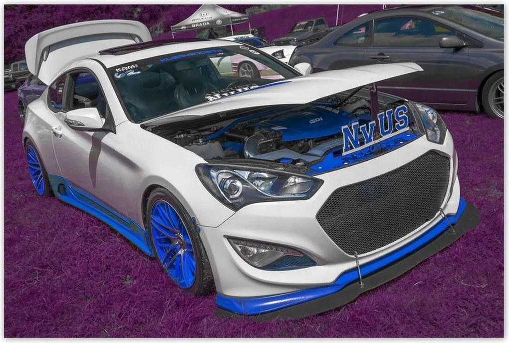 Poszterek 120x80 Fehér sportautó