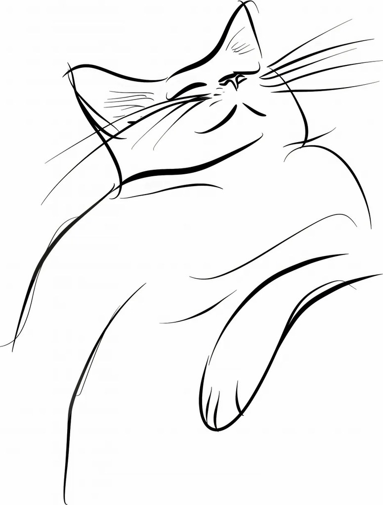 Poszter 68x98cm Macskaelégedettség vázlat