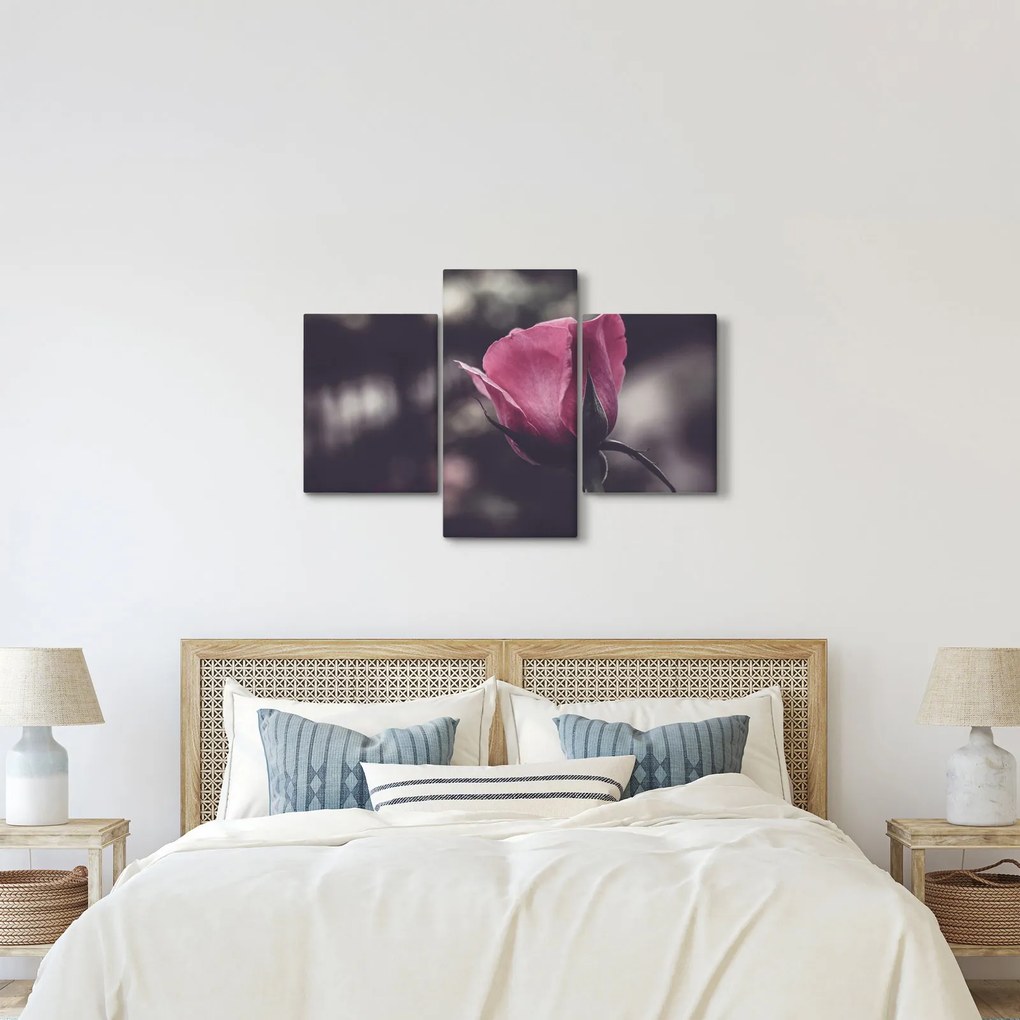 Kép - Rózsa virág részlete (90x60 cm)