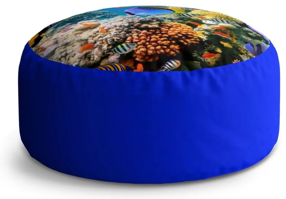 Circle zsámoly korallzátony, színes