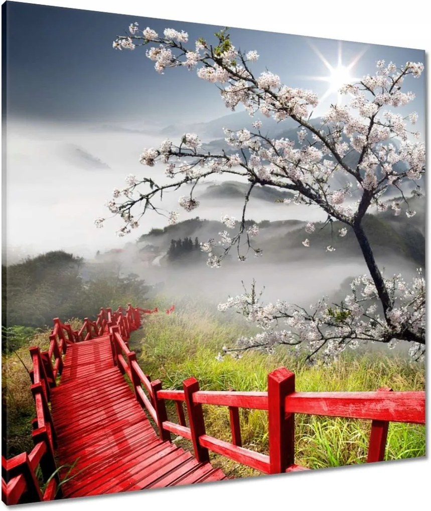 Vászonkép 80x80 Vörös híd Japánban