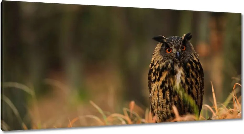 Vászonkép 115x55 Madarak