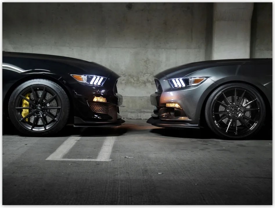 Poszterek 40x30 Face to face Mustang