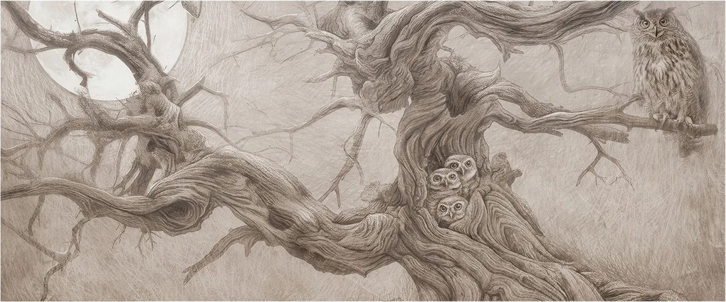 Fotótapéta Flizelina Nappali és Hálószoba Éjjeli madarak 250x104 Ragasztó