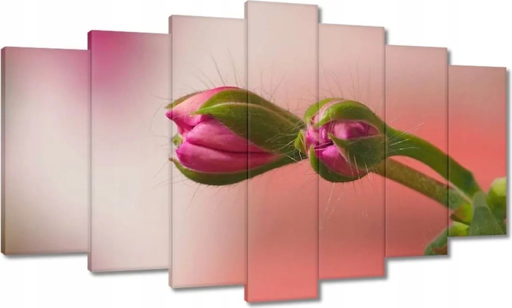 Vászonkép 140x80 Finom fánkok Virágok