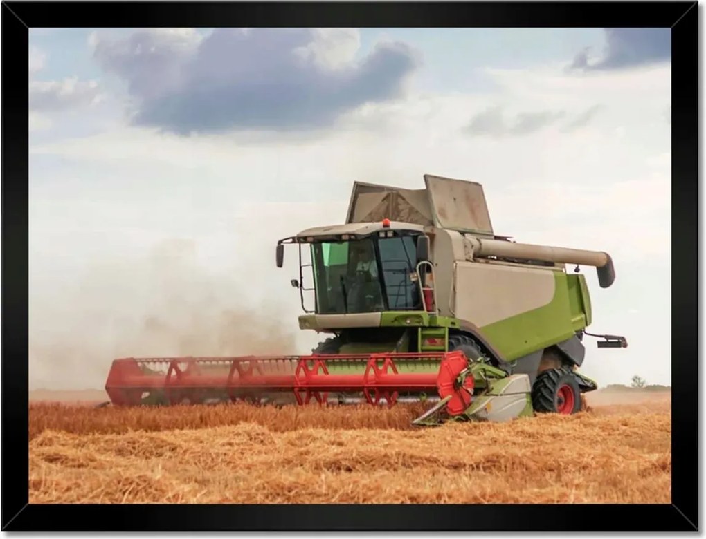 Poszterek keretben 40x30 Kombájn a gabonamezőn