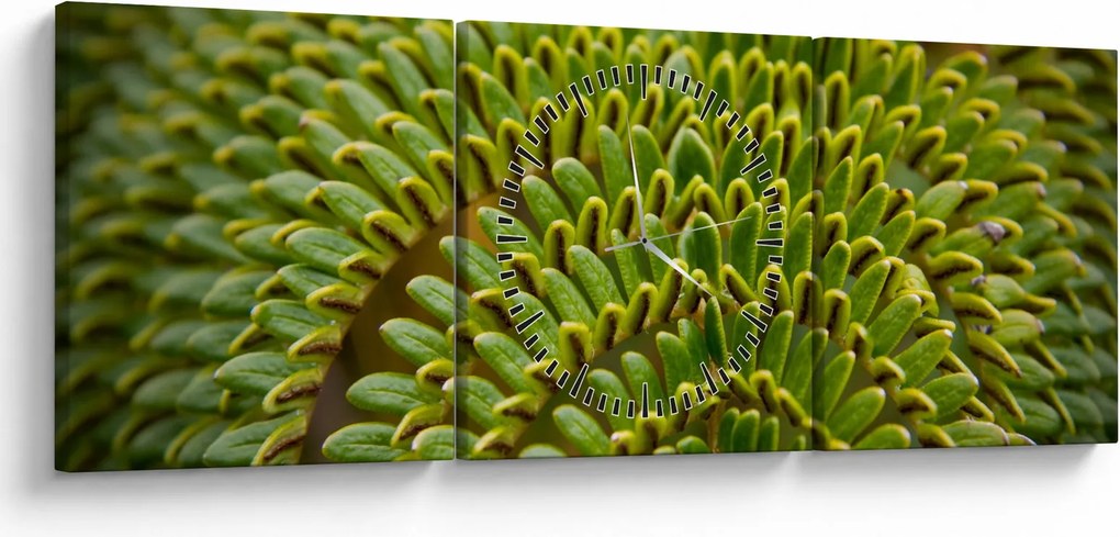 Kép - Fern (órával) (90x30 cm)