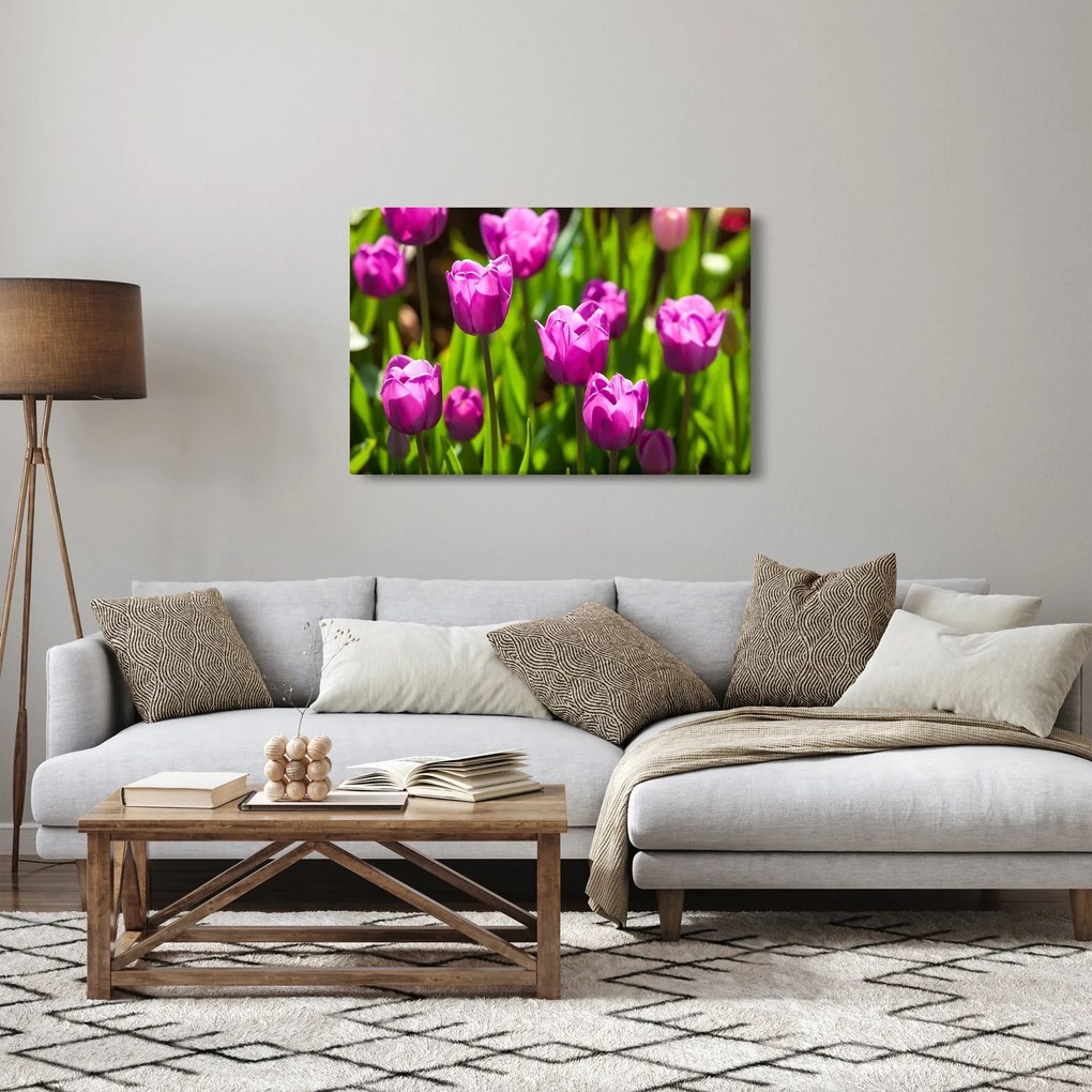 Tulipánok a réten képe (90x60 cm)