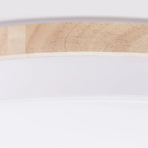 Brilliant - LED Dimmelhető mennyezeti lámpa BAARLO LED/36W/230V átm. 50 cm fehér + távirányító