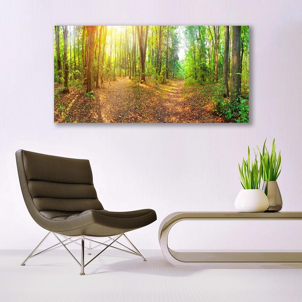 Akrilkép Sun-erdő Természetvédelmi Path 125x50 cm