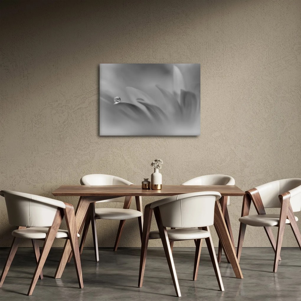 Kép - Csepp a virágon, fekete-fehér (70x50 cm)