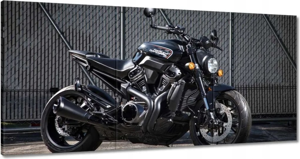 Képek 180x90 Harley Davidson Motorkerékpár