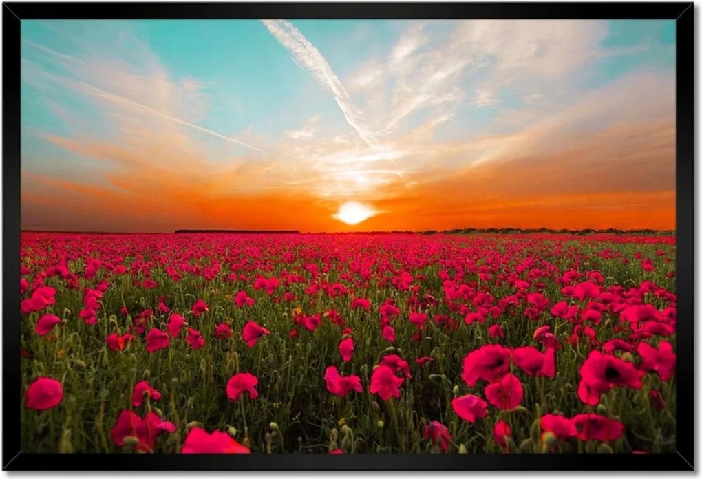 Poszter keretben 60x40 Rózsaszín pipacsok Naplemente