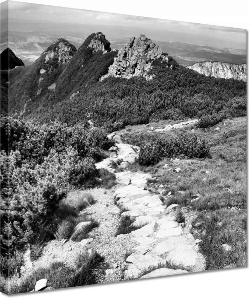 Vászonkép 30x30 Tátra Lengyel hegyek Kilátás