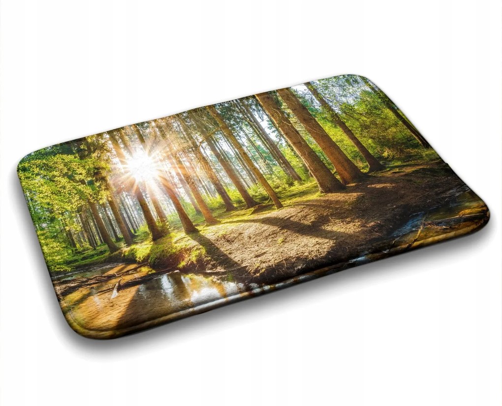 Puha szőnyeg Modern minta Tájkép Erdő 75x45