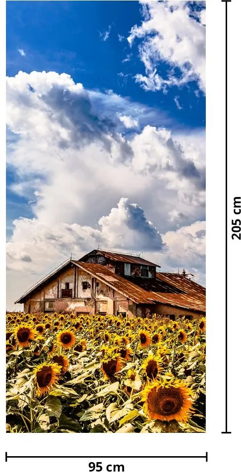 Fotótapéta ajtóra - Napraforgó mező (95x205cm)