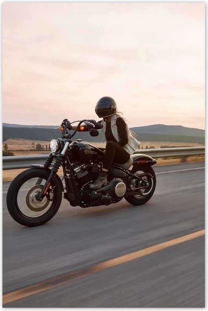 Poszterek 60x90 Harley Davidson Motorcycle