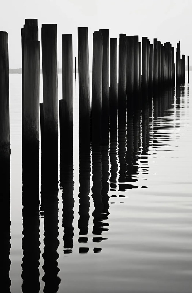 Poszter 53x81cm Víz és fa ritmus