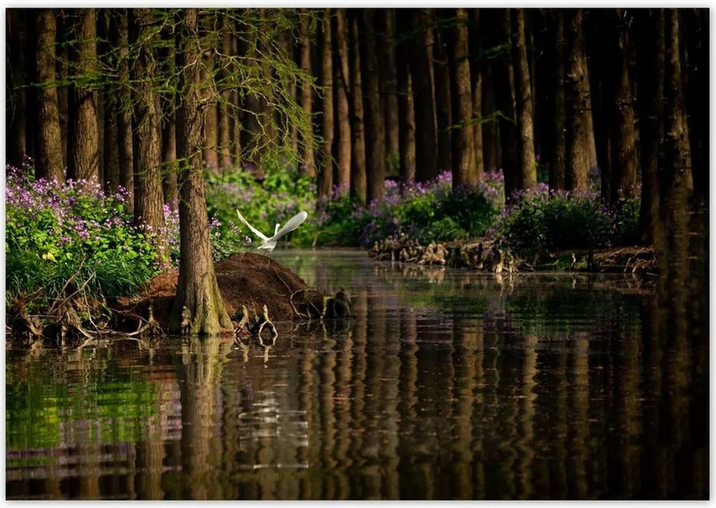 Poszterek 100x70 Tájkép Látvány