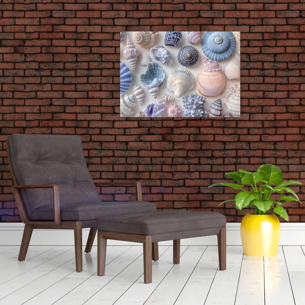 Üveg kép - Kagylógyűjtemény (70x50 cm)