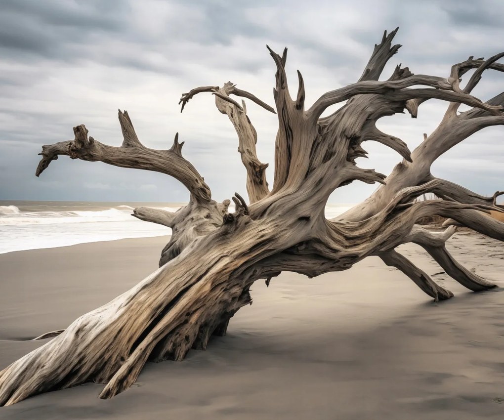 Poszter 60x50cm Örökkévalóság Elvarázsolt a fában