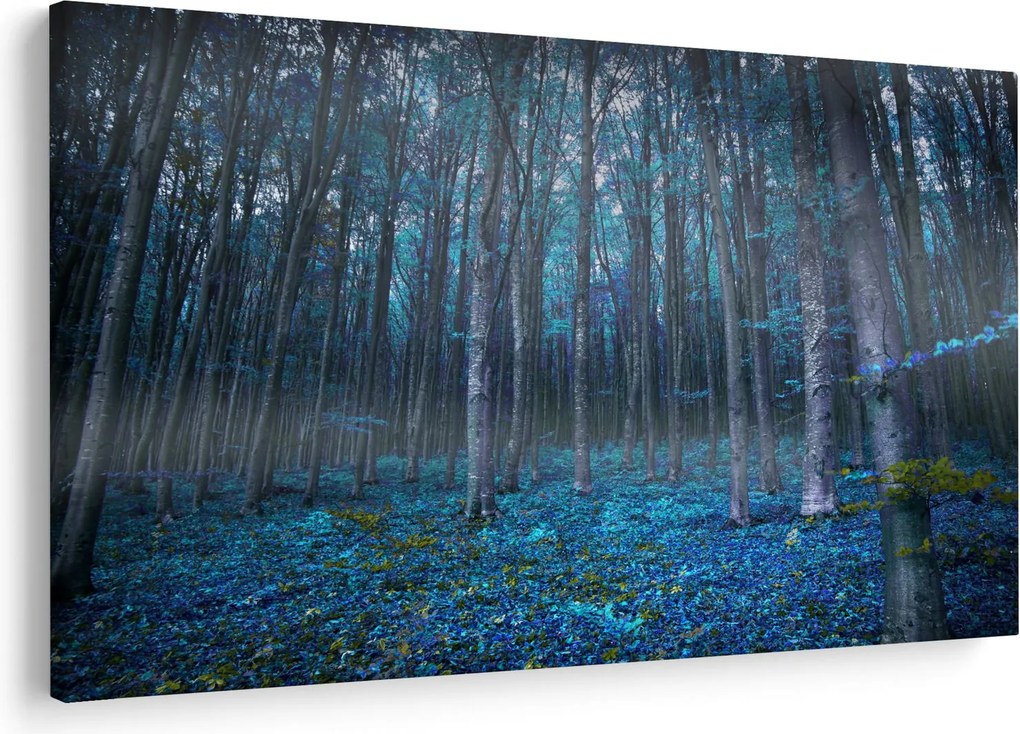 Kép - varázslatos erdő (90x60 cm)