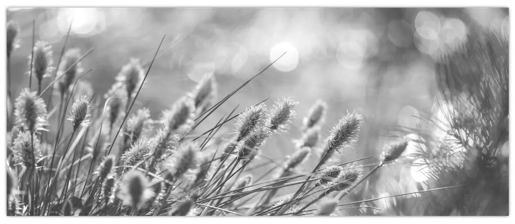 Kép - Bézs színű puha fű N⁰1 (120x50 cm)