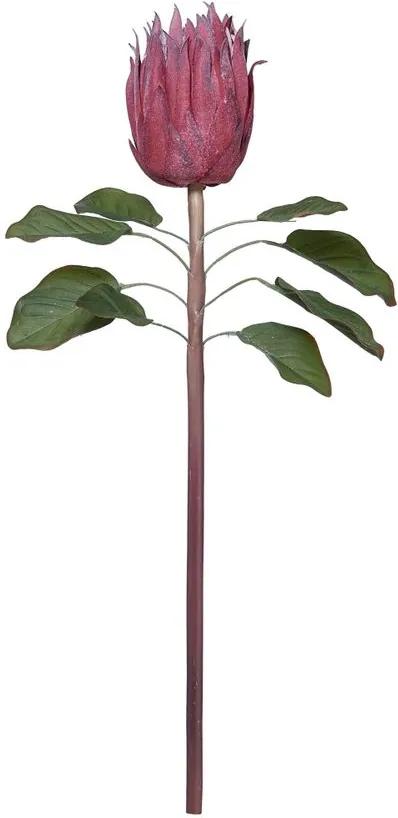 FLORISTA protea, mályva 60 cm