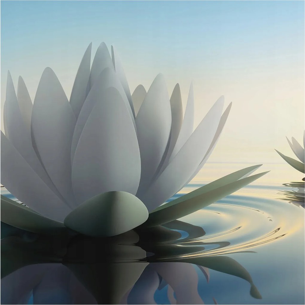 Fotótapéta Flizelina Nappali és Hálószoba Irodába Vízi liliomok 250x250 Ragasztó