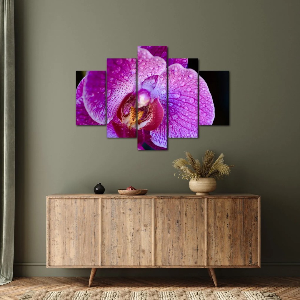 Részletes kép az orchidea virágról (150x105 cm)