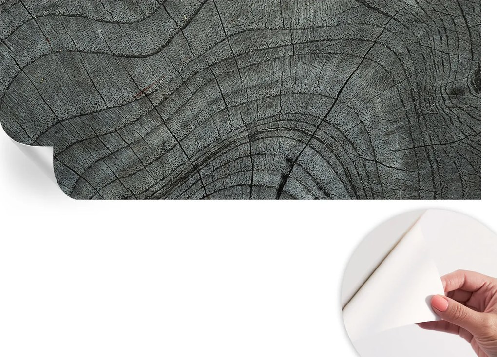 Dekoratív öntapadós fotótapéta Hálószobába Befőttesüveg minta 250x104 cm