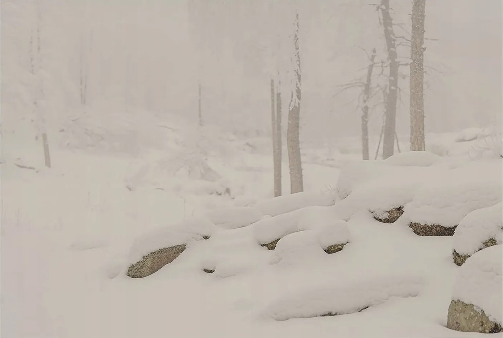 Flizelin tapéta falra Prémium Hóerdő 104x70 Ragasztó