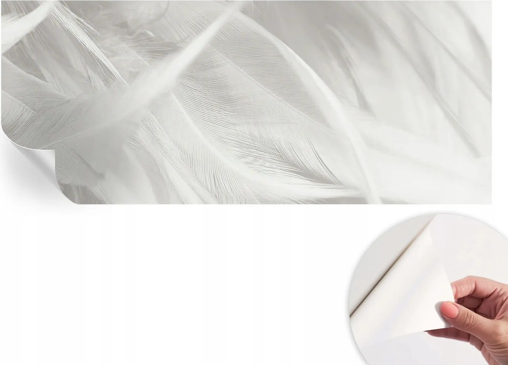 Modern öntapadós fotótapéta Mosható Finom tollak 250x104 cm