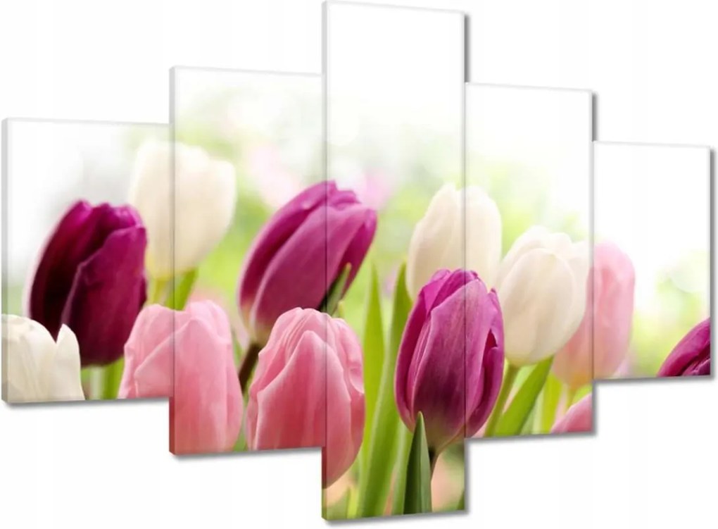 Vászonkép 100x70 Gyönyörű tulipánok