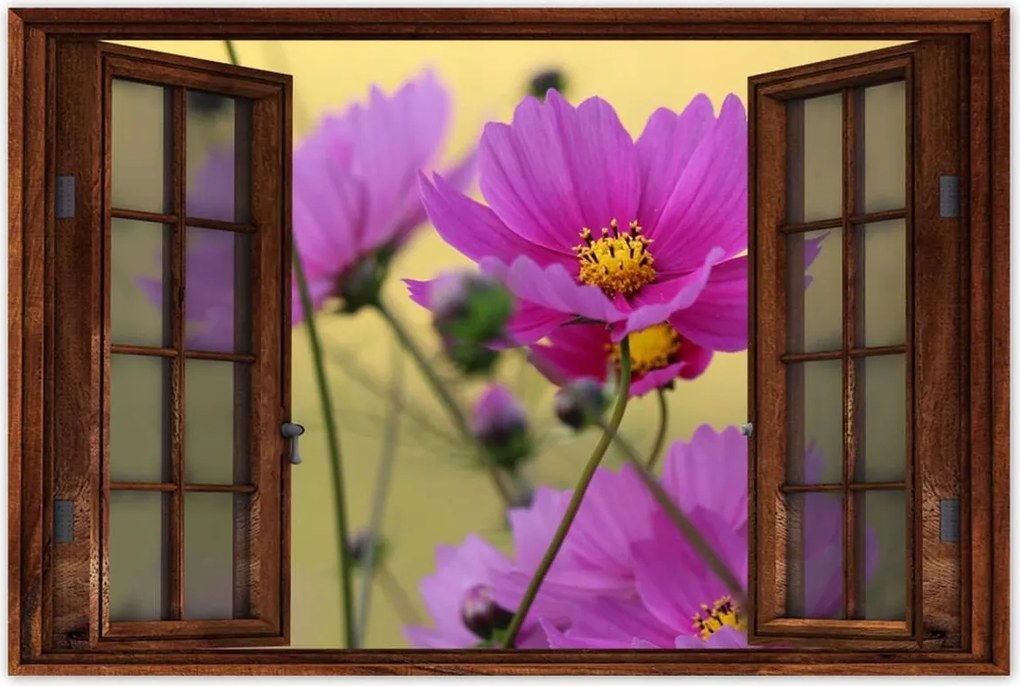 Poszterek 60x40 Virágok a réten