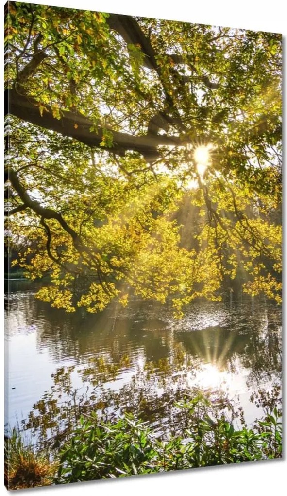 Festmények 80x120 Tájkép