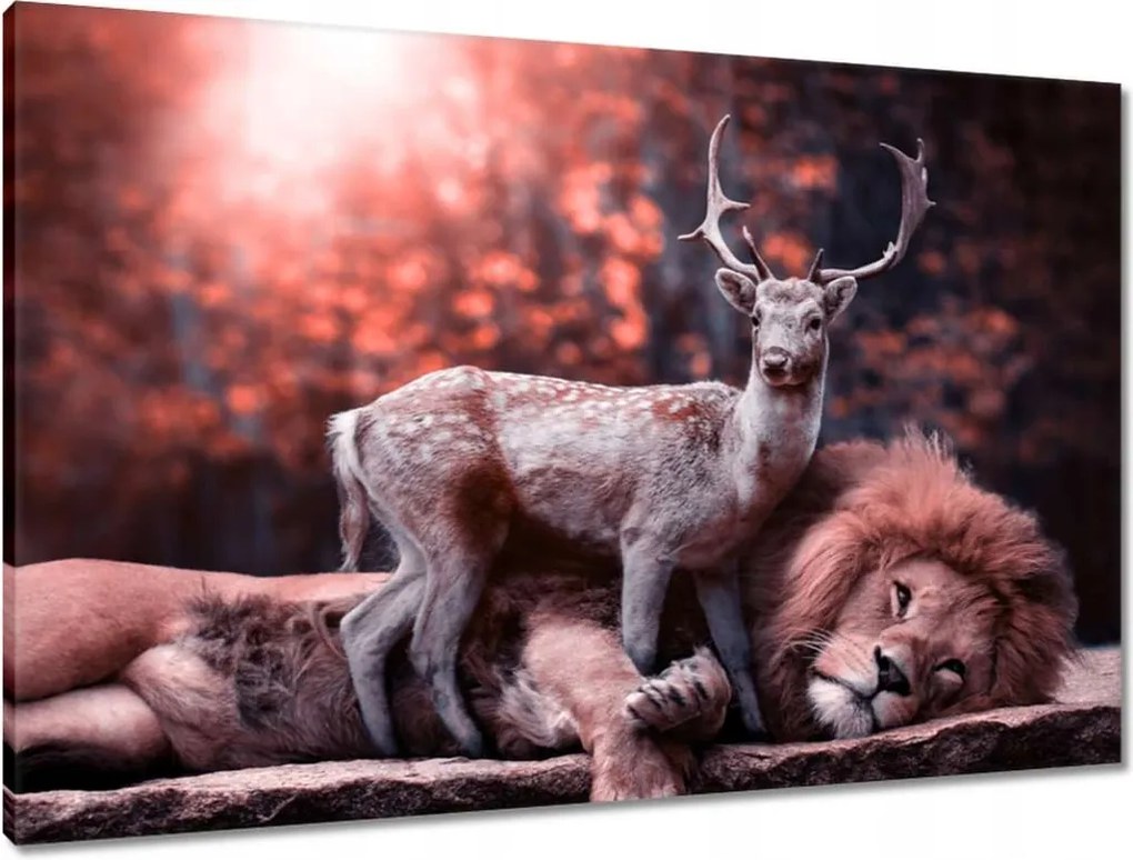 Vászonkép 90x60 Szarvas felszarvazott