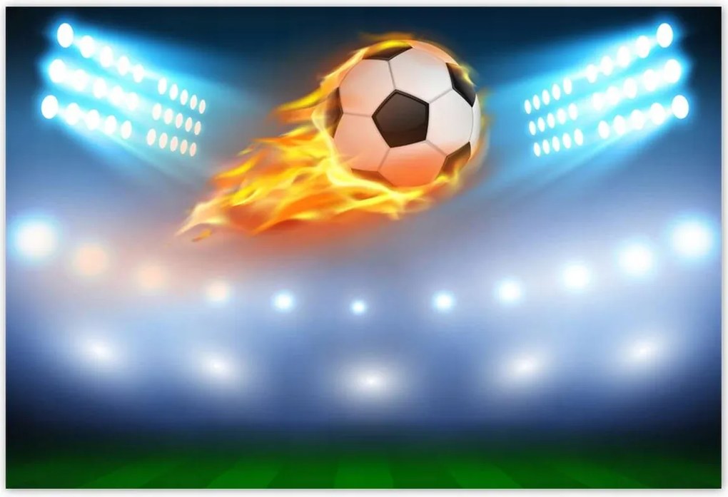 Poszterek 200x135 Forró meccs Lángoló gally